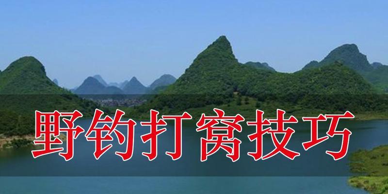 钓鱼不打窝技巧教学？如何提高钓鱼成功率？  第3张
