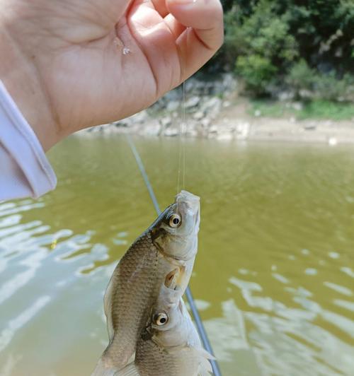如何防止钓鱼时断竿？掌握这些技巧和方法有效避免断竿问题？  第2张