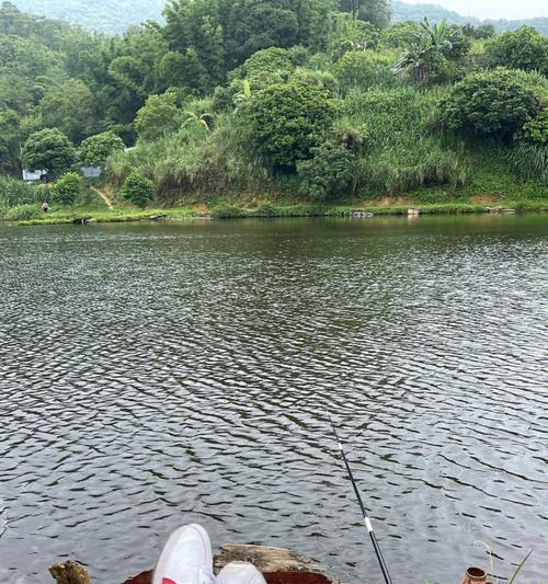 钓鱼不换水的技巧是什么？如何保持水质稳定提高钓鱼效果？  第2张