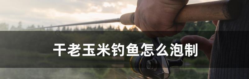 钓鱼不换水的技巧是什么？如何保持水质稳定提高钓鱼效果？  第3张