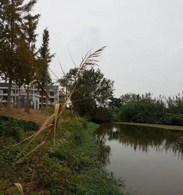 如何掌握钓鱼不空军的绝密技巧？常见问题有哪些解决方案？  第1张