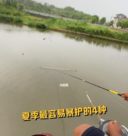 如何掌握钓鱼不空军的绝密技巧？常见问题有哪些解决方案？  第2张