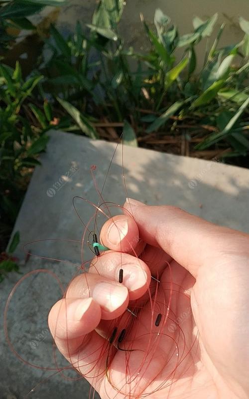 如何掌握钓鱼不切线的技巧？常见问题有哪些？  第3张