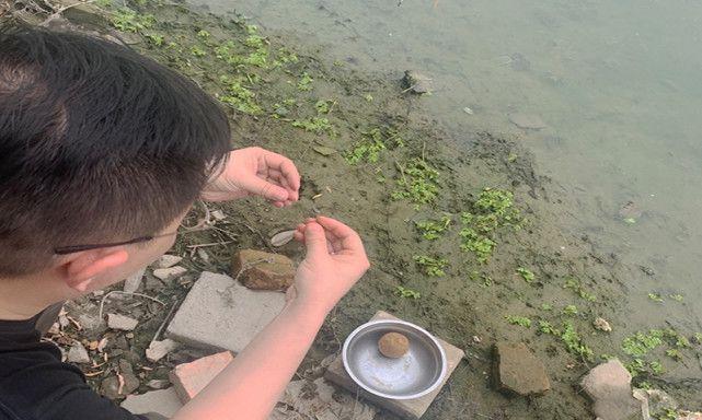 如何掌握钓鱼不散窝技巧？散窝后如何快速恢复？  第1张