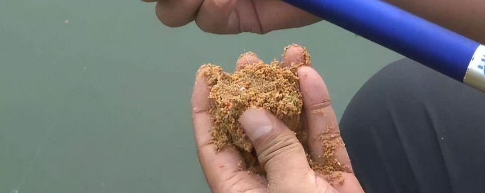 如何掌握钓鱼不散窝技巧？散窝后如何快速恢复？  第3张