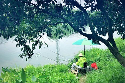 钓鱼不上钩的技巧是什么？如何提高钓鱼成功率？  第1张