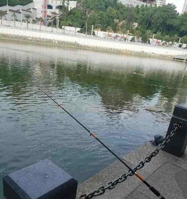 如何提高钓鱼成功率？不上钩时应采取哪些技巧和方法？  第3张