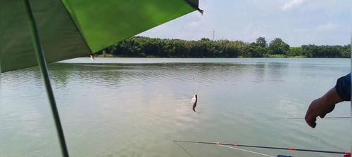 如何掌握钓鱼蹭窝子的技巧？蹭窝子钓鱼有哪些常见问题？  第1张