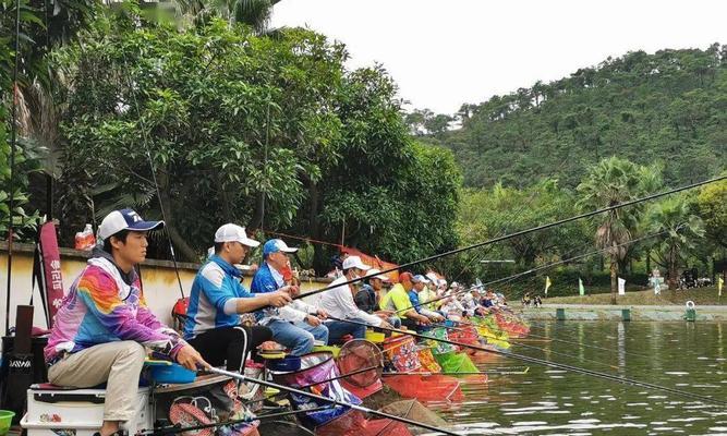 钓鱼场垂钓技巧法有哪些？如何提高钓鱼成功率？  第2张