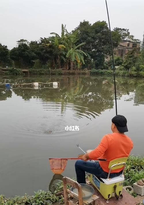 钓鱼场钓鱼技巧有哪些？如何提高钓鱼成功率？  第2张