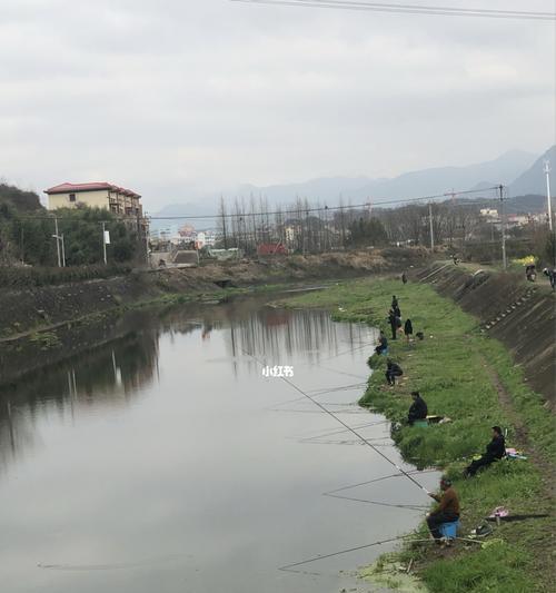 钓鱼场综合塘钓鱼技巧有哪些？如何提高钓鱼成功率？  第3张