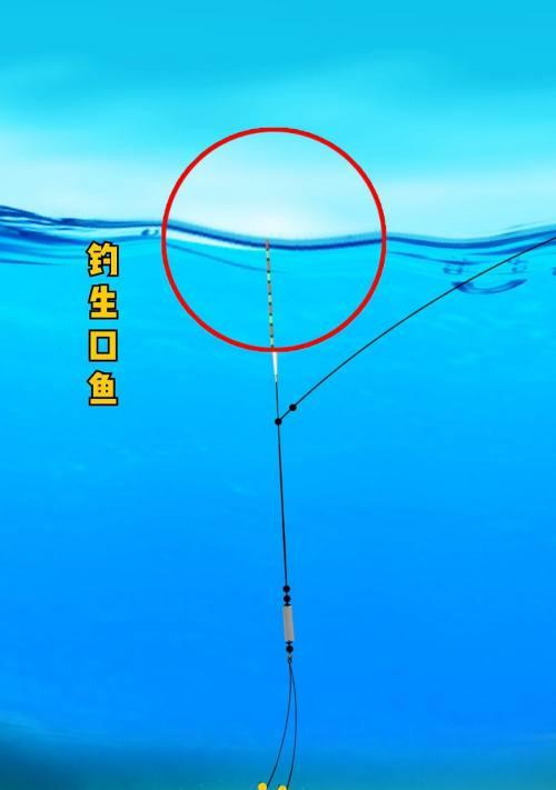 如何掌握钓鱼吃口调漂技巧？常见问题有哪些？  第2张