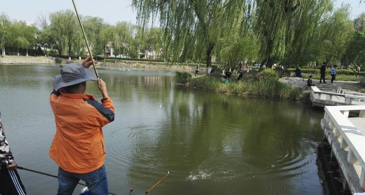 钓鱼抽牌的技巧有哪些？如何提高抽牌成功率？  第3张