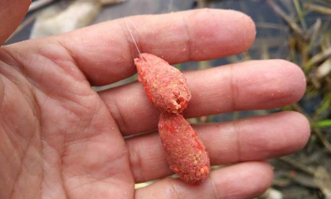 如何掌握钓鱼抽窝技巧教程？抽窝技巧有哪些常见问题？  第2张