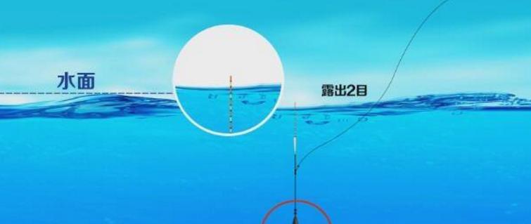 钓鱼初学者如何调漂？调漂技巧教程有哪些常见问题？  第3张