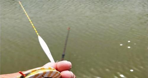 钓鱼达人讲解黑坑补窝技巧？如何有效提高钓鱼成功率？  第3张