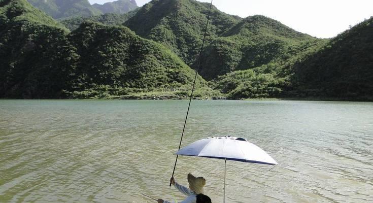 如何掌握钓鱼打浮提竿的技巧和方法？常见问题有哪些？  第2张