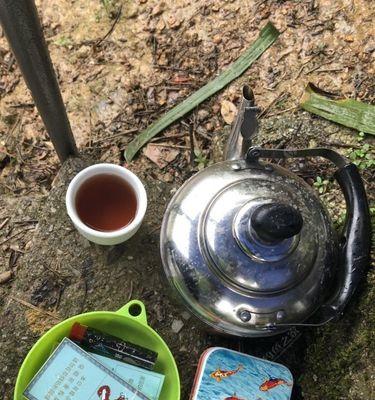 如何在钓鱼时正确使用打伞技巧？常见问题有哪些？  第1张