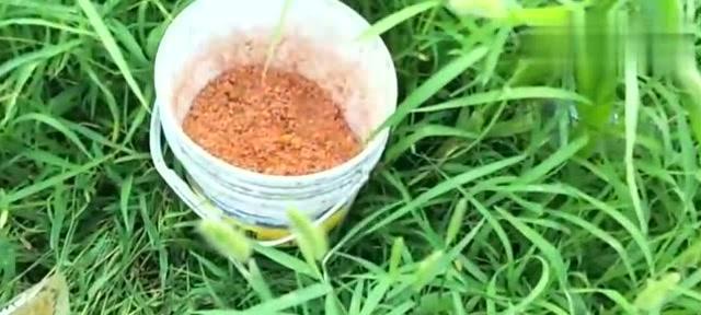 钓鱼打窝的技巧有哪些？如何正确使用打窝器？  第2张