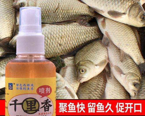 如何快速聚鱼？掌握钓鱼打窝的高效技巧！  第1张
