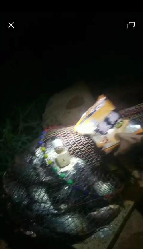 如何快速聚鱼？掌握钓鱼打窝的高效技巧！  第3张