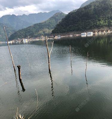 如何正确打虚窝钓鱼？掌握这4个技巧提高成功率？  第3张