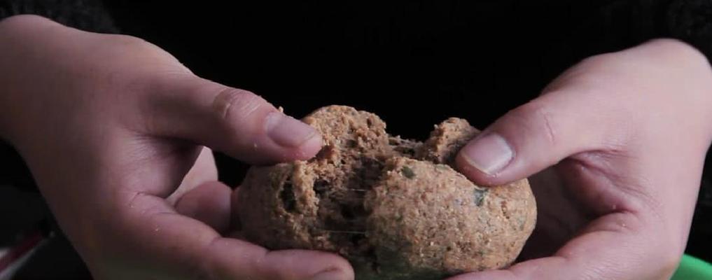 如何开饵钓鱼？掌握这些技巧让你钓得更多！  第1张