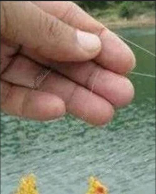 如何掌握钓鱼带钩调漂技巧？常见问题有哪些？  第3张