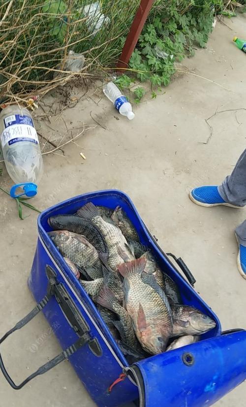 如何高效派送钓鱼岛？派送过程中常见问题有哪些？  第1张