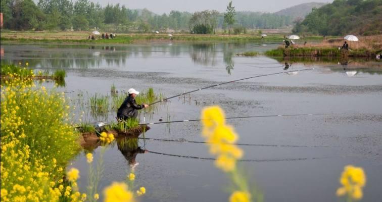 最佳钓鱼地点在哪里？掌握这些技巧让你满载而归？  第2张