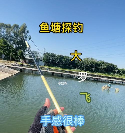 最佳钓鱼地点在哪里？掌握这些技巧轻松钓大鱼！  第2张