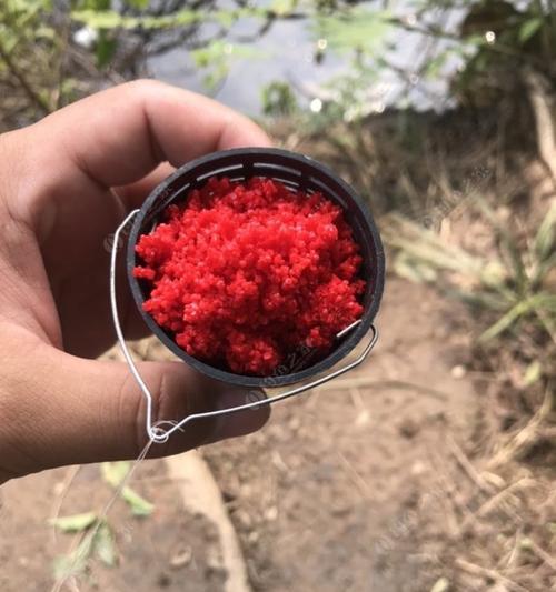 钓鱼技巧窝中有鱼不吃钩怎么办呀？有效提高钓鱼成功率的方法是什么？  第2张
