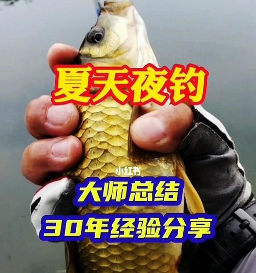 如何提高钓鱼技巧？无偿解析有哪些实用建议？  第3张