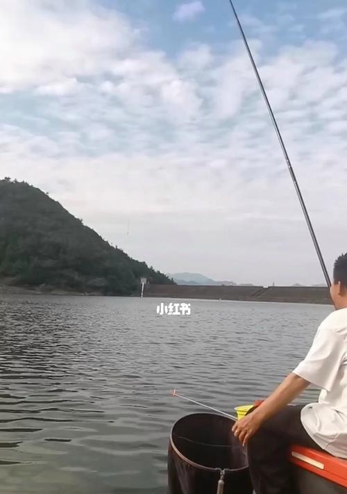 钓鱼技巧细教程？如何快速掌握钓鱼的高级技巧？  第3张