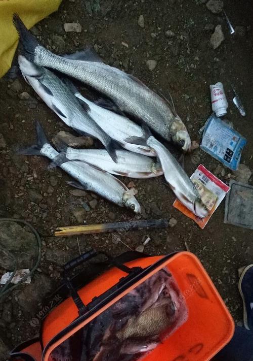 夏季如何钓翘嘴？掌握这两招钓鱼技巧很给力吗？  第2张