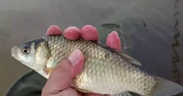 如何通过钓鱼技巧小细节显著降低断杆几率？  第1张