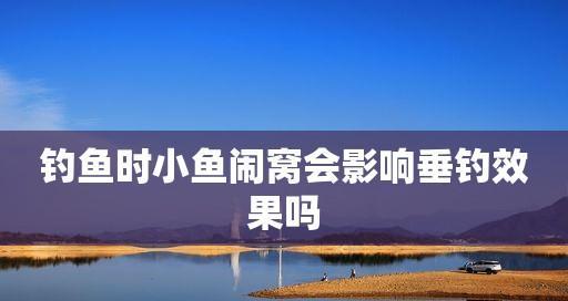 如何应对钓鱼时小鱼闹漂的困扰？有效技巧有哪些？  第2张