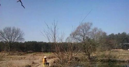 钓鱼技巧笑死人？这些小窍门你都知道吗？  第1张