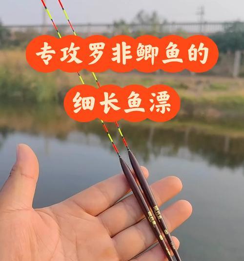 新手钓鱼技巧：如何通过浮漂判断鱼情？常见问题有哪些？  第2张