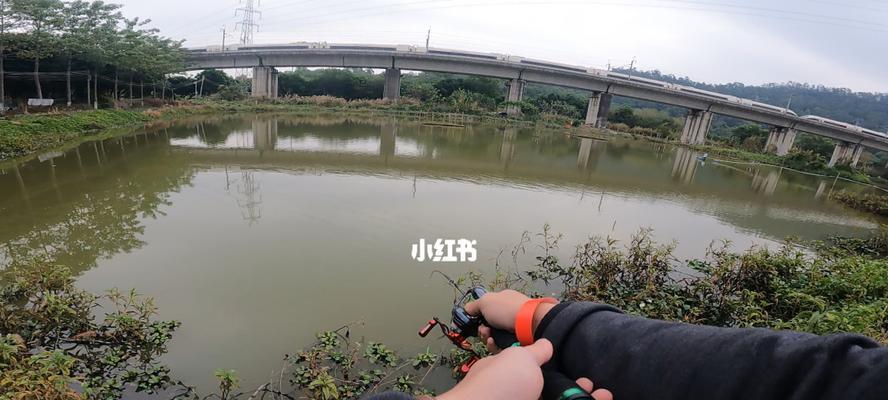 如何选择最佳钓鱼位置？掌握这些技巧轻松钓大鱼！  第1张