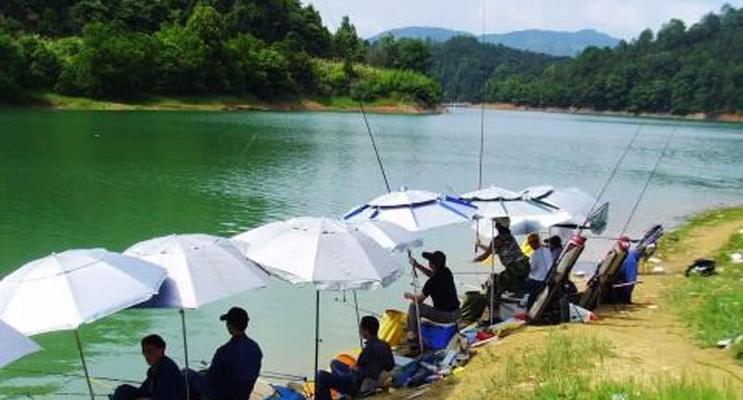 钓鱼技巧学会几招？如何快速提高钓鱼水平？  第2张