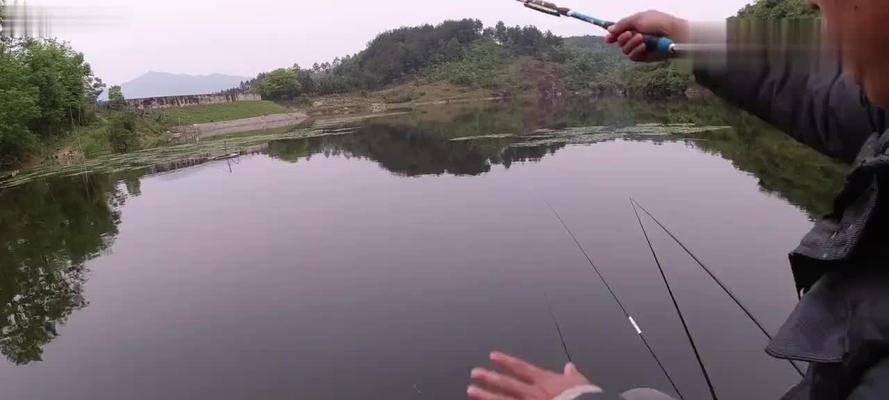 如何掌握钓鱼技巧以防止鱼儿逃脱？  第2张