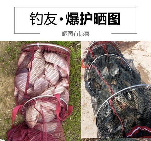 摇三摇钓鱼技巧有哪些？如何提高钓鱼成功率？  第1张