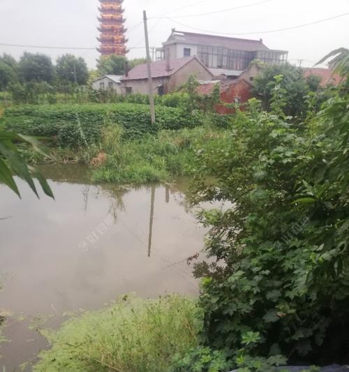 摇三摇钓鱼技巧有哪些？如何提高钓鱼成功率？  第3张