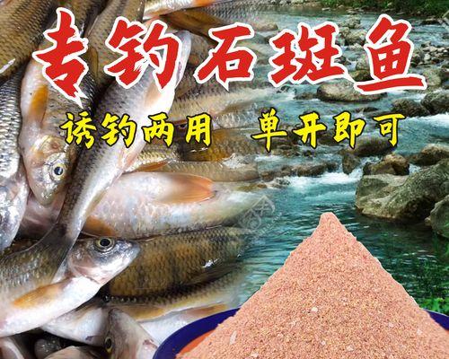 如何选择适合野钓的饵料？掌握哪些钓鱼技巧能提高成功率？  第2张