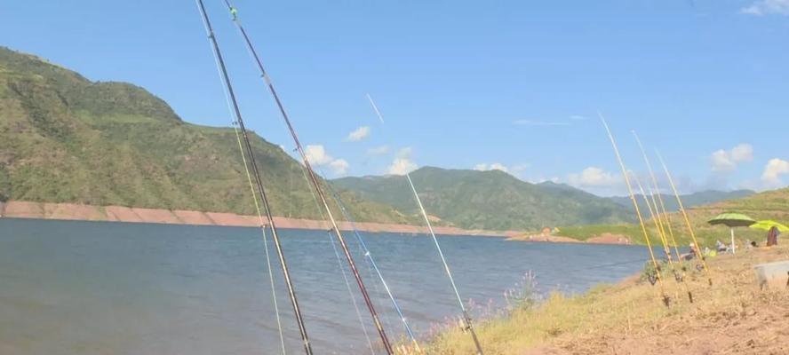 野钓挂钩技巧有哪些？如何正确使用挂钩提高钓鱼效率？  第3张