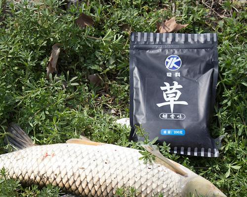 钓鱼技巧野钓实战宝典？如何提升野钓成功率？  第1张
