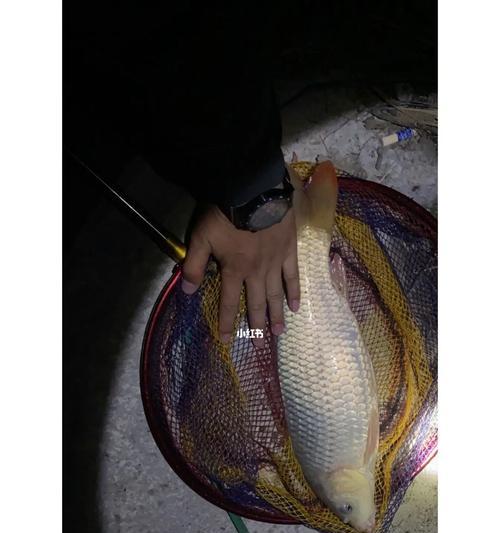 夜钓时如何选择最佳钓位？掌握这些钓鱼技巧了吗？  第1张