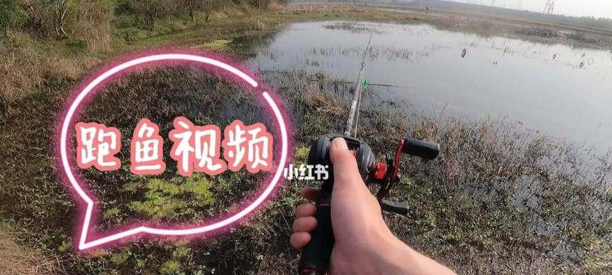 如何在游乐场手摇钓鱼技巧中提高成功率？常见问题有哪些？  第2张