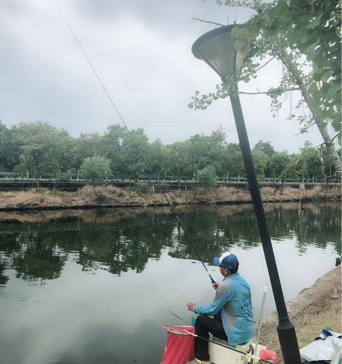 钓鱼技巧有什么不同？如何根据环境选择合适的钓鱼方法？  第3张